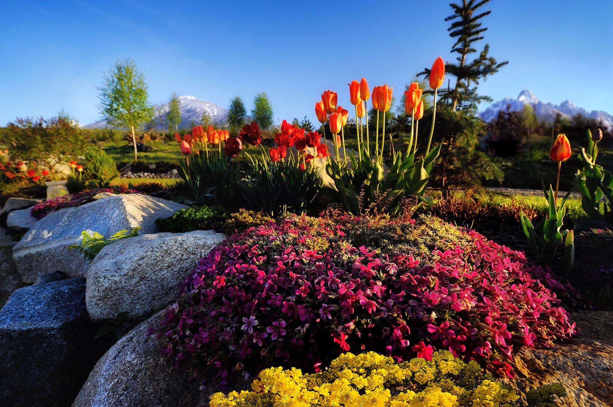 Panoramic Mountain Residence Vysoke Tatry Exterior photo